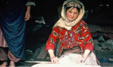 Türkiye’de Orman Köylerinde Kadının Sosyal, Kültürel, Ekonomik ve Folklorik Yaşamı (1959-2009)