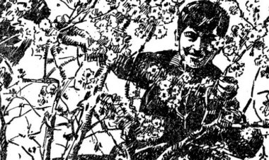 İstanbul Ansiklopedisi’nin maddeleri fotoğrafla yeniden yorumlanacak