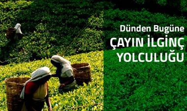 Sinan Özen'le Dünden Bugüne Çayın İlginç Yolculuğu