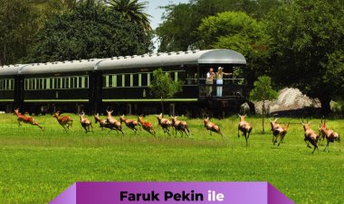 Anadolu'dan Afrika'ya Online Gezilerde Bu Hafta