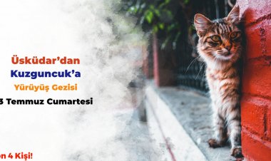 ÜSKÜDAR'DAN KUZGUNCUK'A YÜRÜYÜŞ GEZİSİ