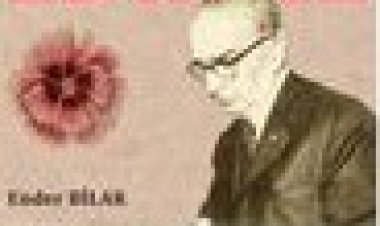 Ord. Prof. Dr. A. Süheyl Ünver’in Kaleminden Edirne