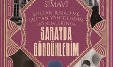 Sarayda Gördüklerim