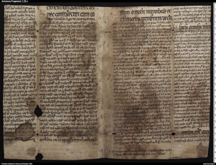 İbni Sina’nın İrlandaca’ya Çevrilmiş Yazısı Bulundu