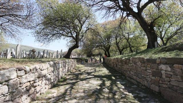 İzmir'deki antik yol ziyarete açılacak